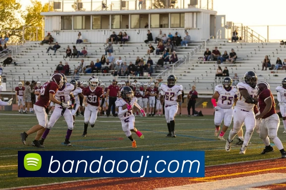 App Interface Preview