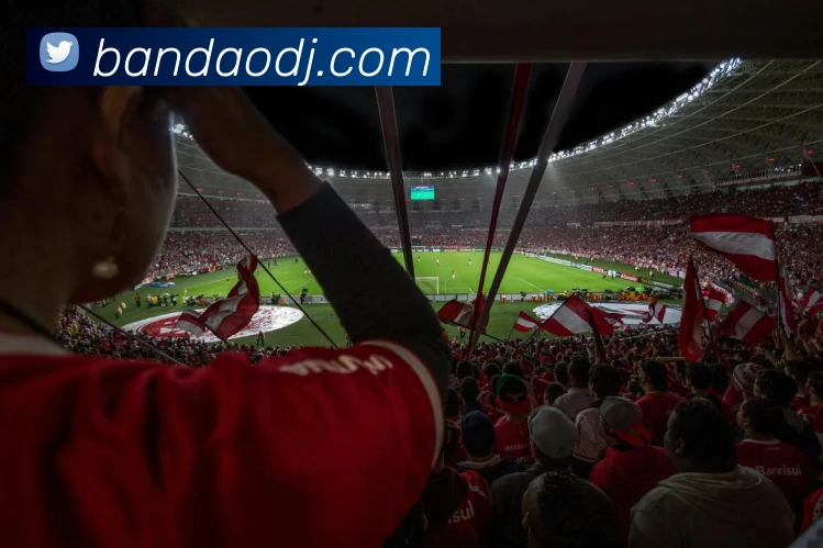 半岛电竞APP 封面图